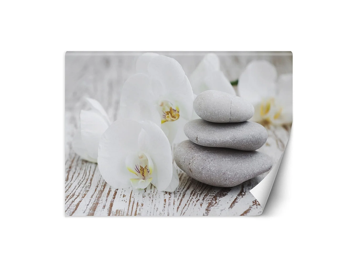 Papier peint fleurs & pierres zen - 450 x 315 cm