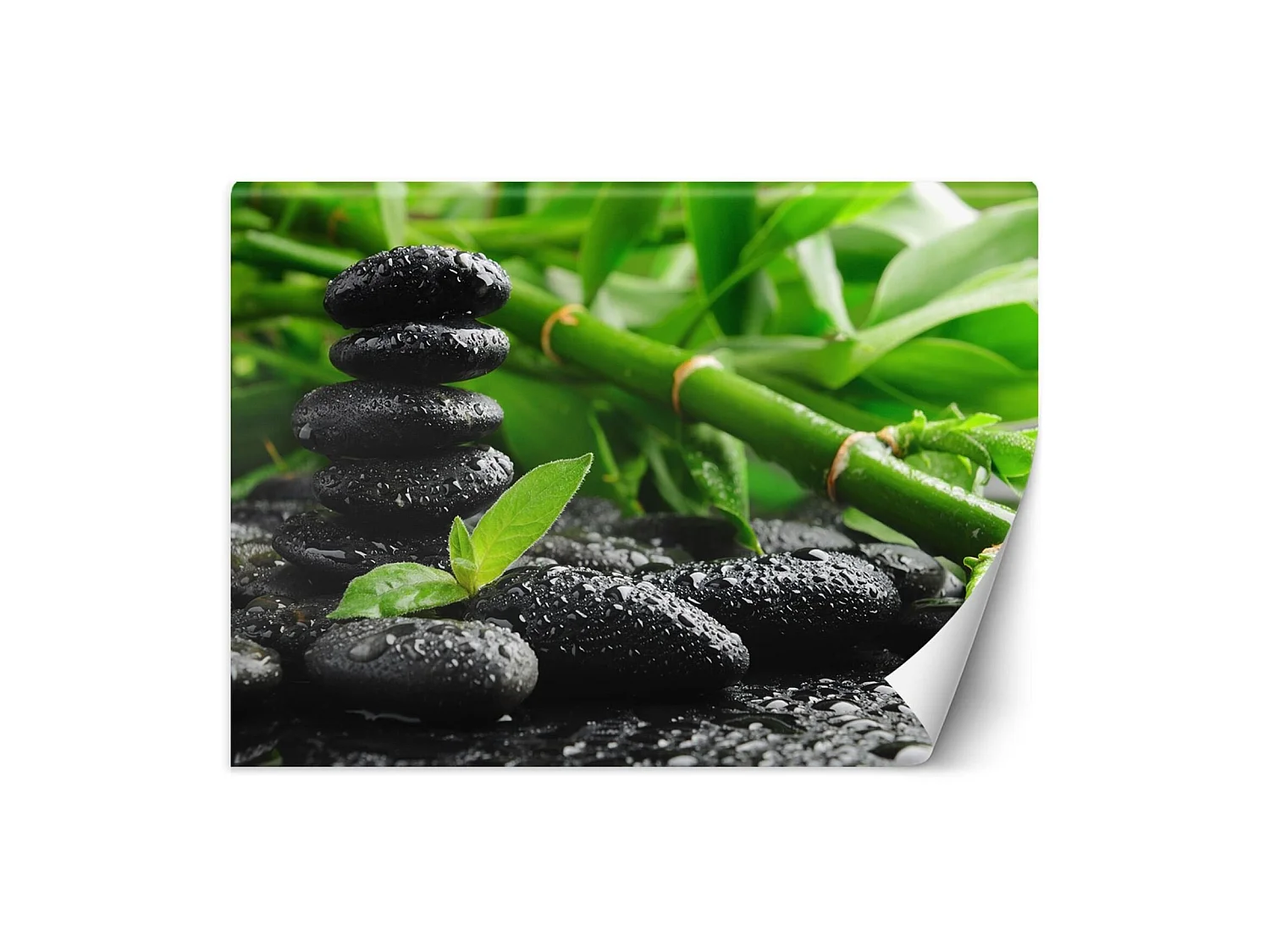 Papier peint bambou & pierres zen - 400 x 280 cm