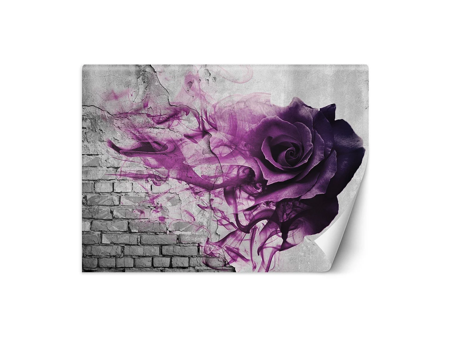 Papier peint rose pourpre - 250 x 175 cm