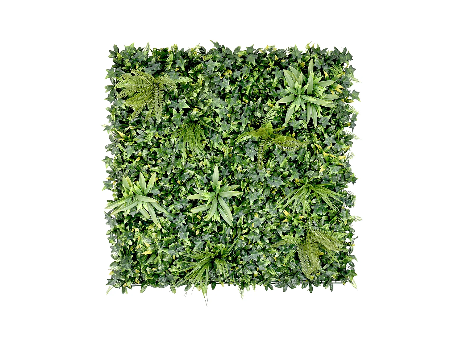 Synthetische groene begroeide muur - Pakket van 1m² - DELVIN