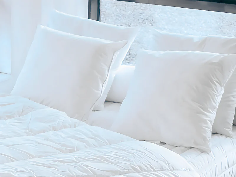 Lot de 2 oreillers recyclés 60 x 60 cm de DREAMEA - Enveloppe 100% microfibre - ROSA