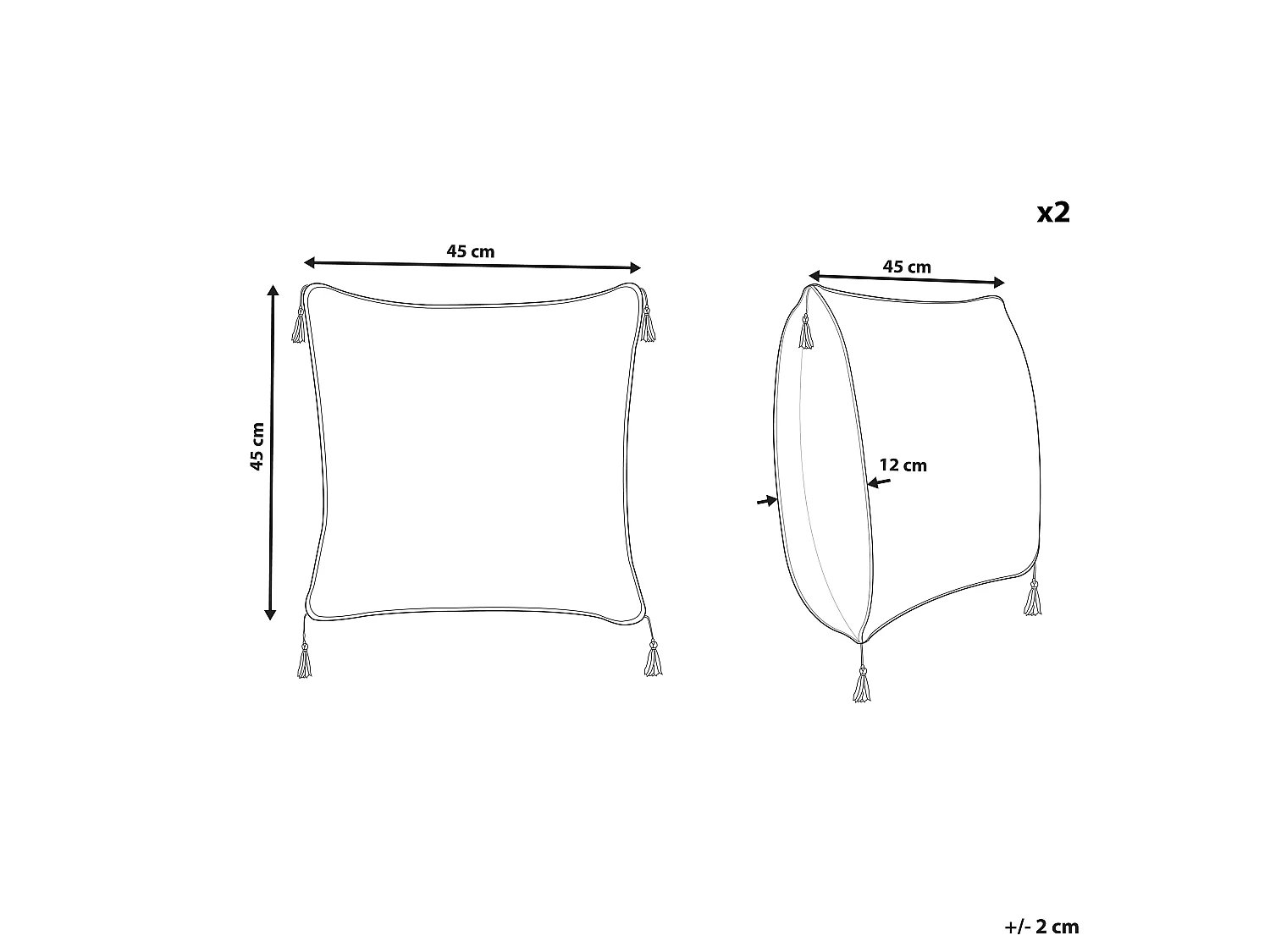 Lot de 2 coussins décoratifs AZALEA 45 x 45 cm Beige clair Unicolore