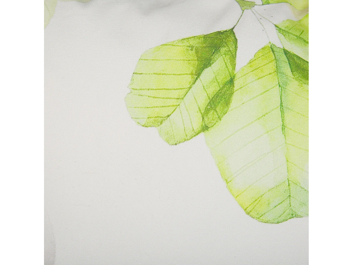 Zestaw 2 poduszek dekoracyjnych PEPEROMIA Bawełna 45 x 45 cm Biały Wzór roślinny