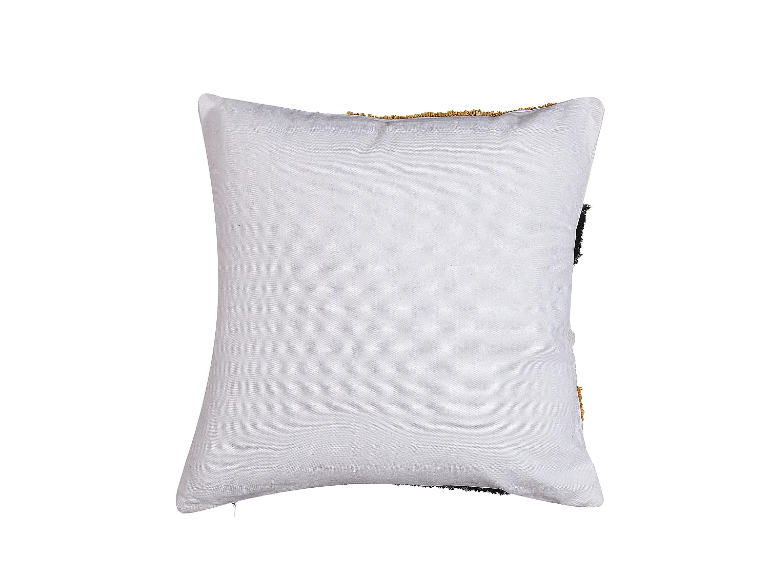 Lot de 2 coussins décoratifs MONARDA 45 x 45 cm Multicolore Motif abstrait