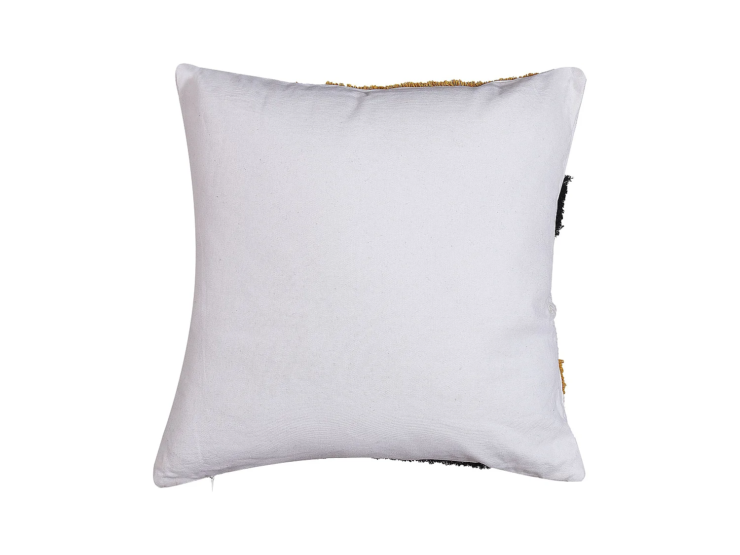 Lot de 2 coussins décoratifs MONARDA 45 x 45 cm Multicolore Motif abstrait