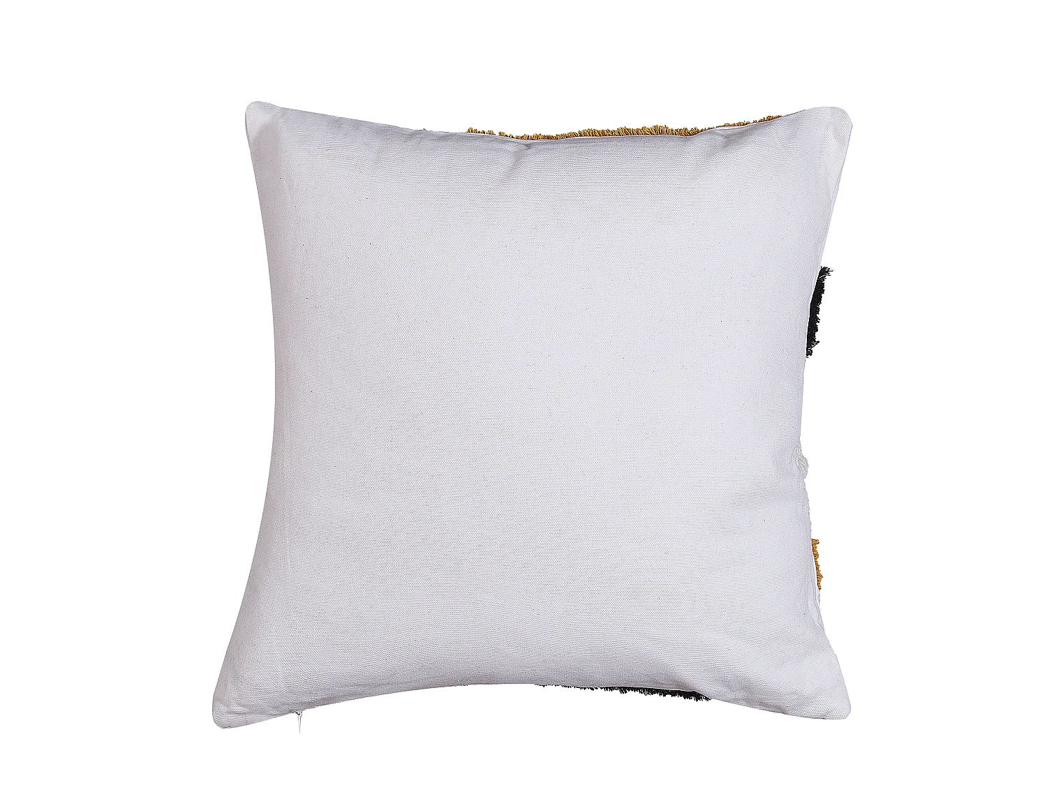 Lot de 2 coussins décoratifs MONARDA 45 x 45 cm Multicolore Motif abstrait