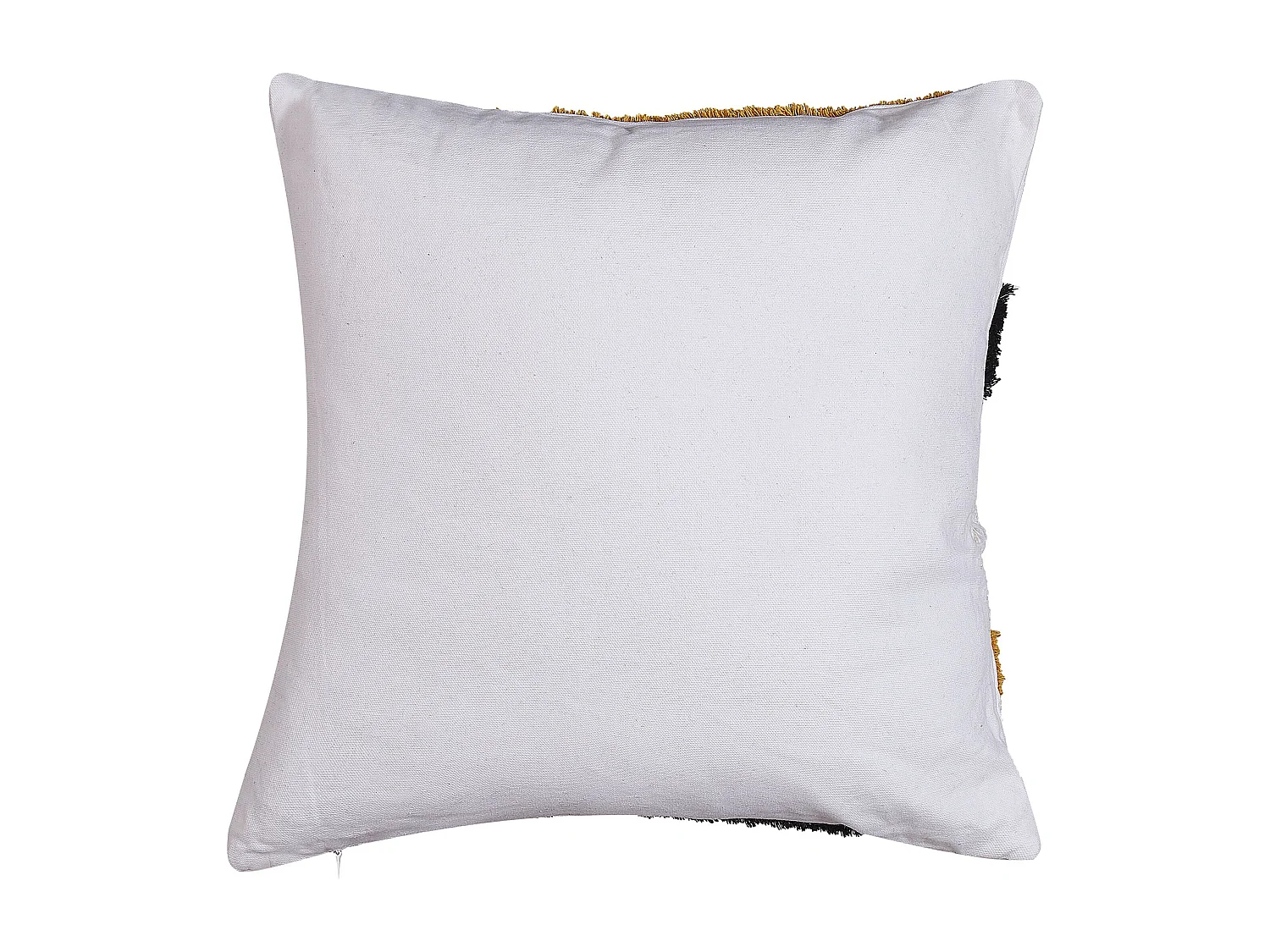 Lot de 2 coussins décoratifs MONARDA 45 x 45 cm Multicolore Motif abstrait