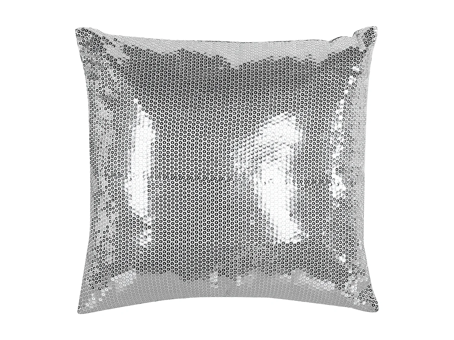 Lot de 2 coussins Unicolore ASTER 45 x 45 cm Argenté