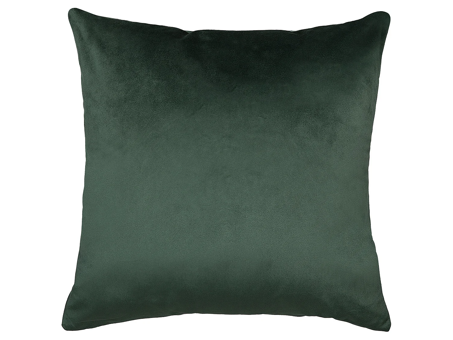 Lot de 2 coussins décoratifs BELLEROSE Velours 45 x 45 cm Vert foncé Motif de plante