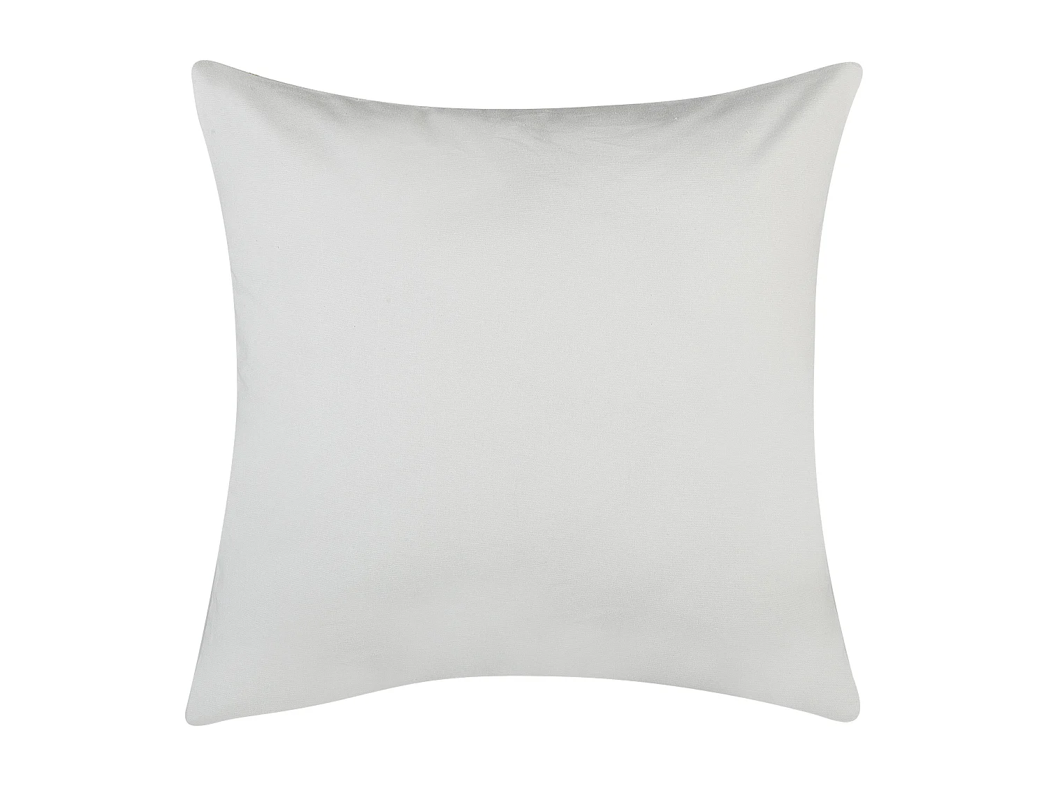 Lot de 2 coussins décoratifs ALYSSUM Coton 45 x 45 cm Blanc Motif de treillis