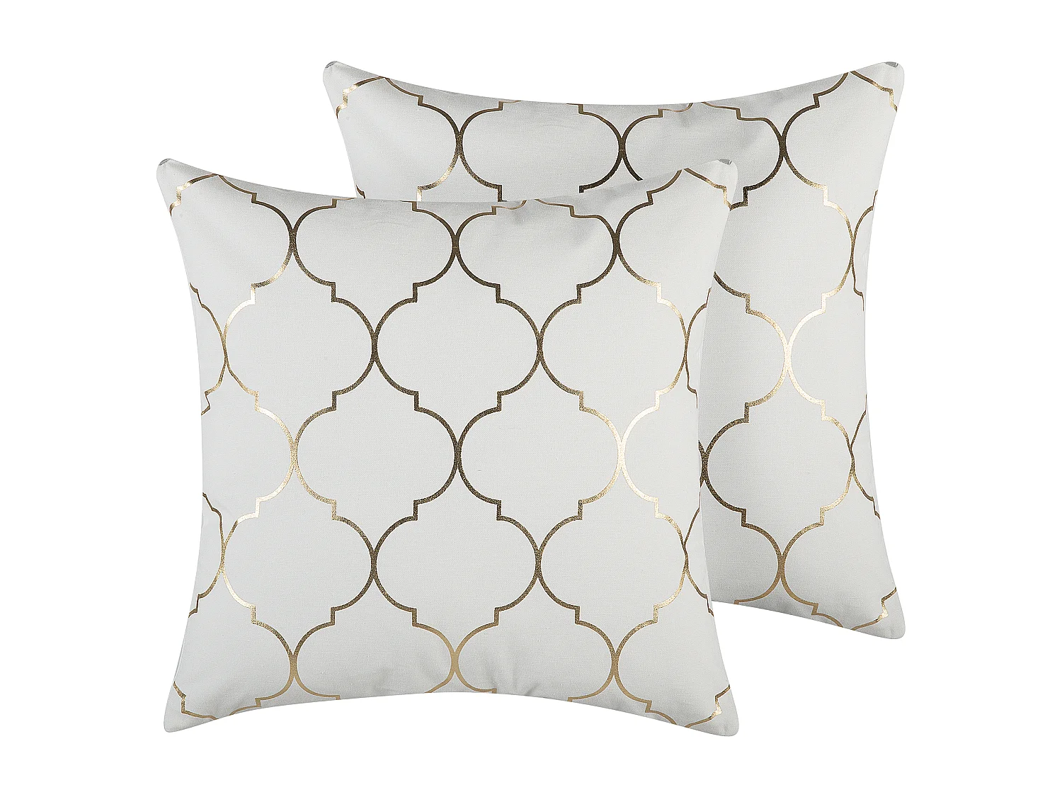 Lot de 2 coussins décoratifs ALYSSUM Coton 45 x 45 cm Blanc Motif de treillis