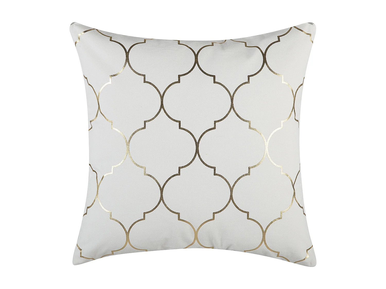 Lot de 2 coussins décoratifs ALYSSUM Coton 45 x 45 cm Blanc Motif de treillis