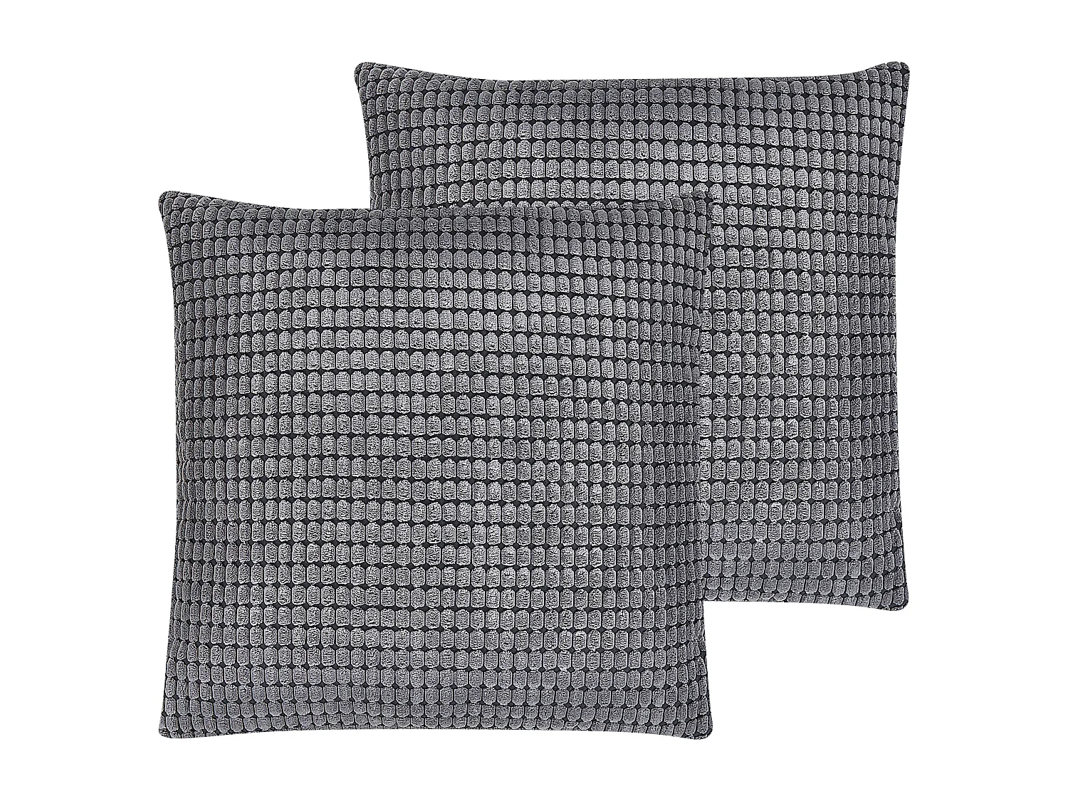 Lot de 2 coussins décoratifs ASPIDISTRA Velours 45 x 45 cm Gris Motif géométrique