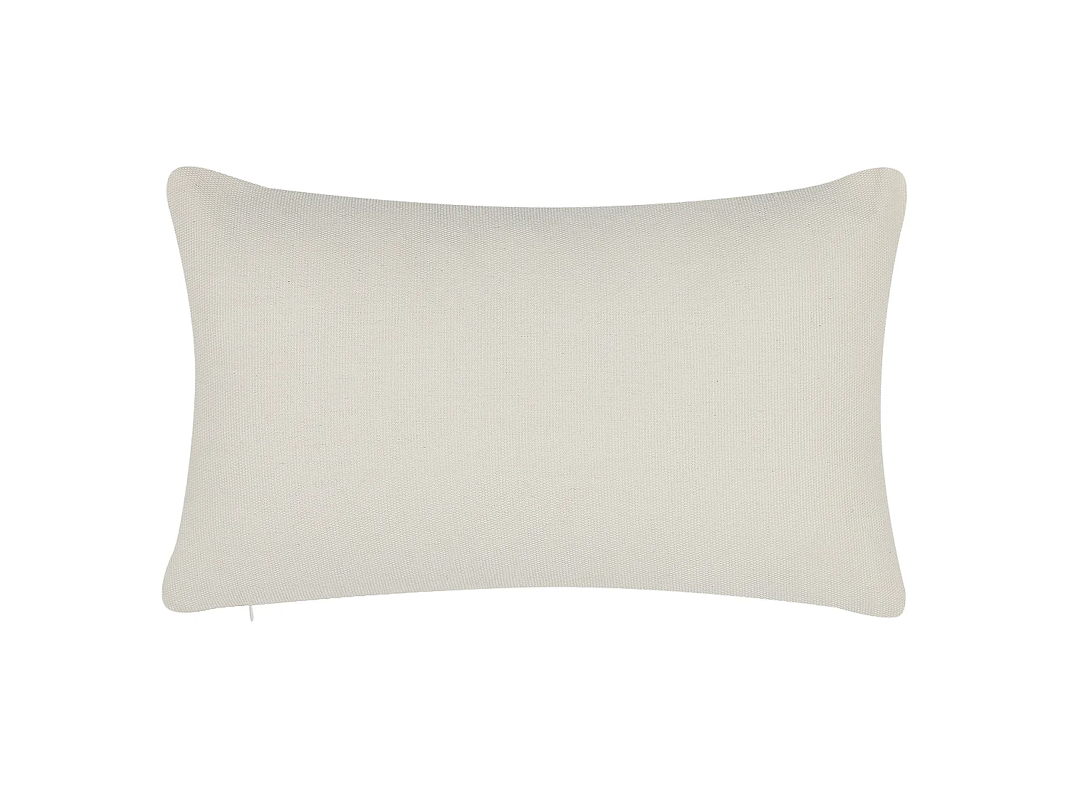 Lot de 2 coussins décoratifs TIARELLA 30 x 50 cm Multicolore Motif géométrique