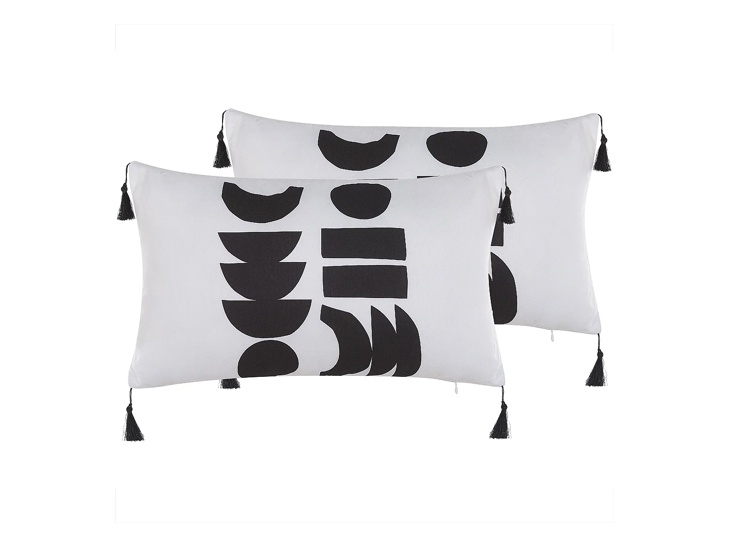 Lot de 2 coussins décoratifs LIRIOPE 30 x 50 cm Noir/blanc Motif géométrique