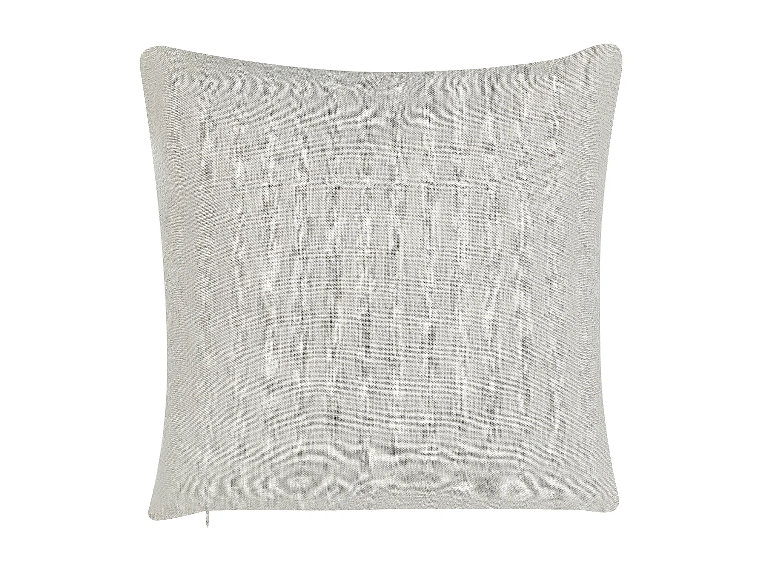 Set van 2 decoratieve kussens GOMPHRENA 45 x 45 cm Lichtbeige Bladpatroon