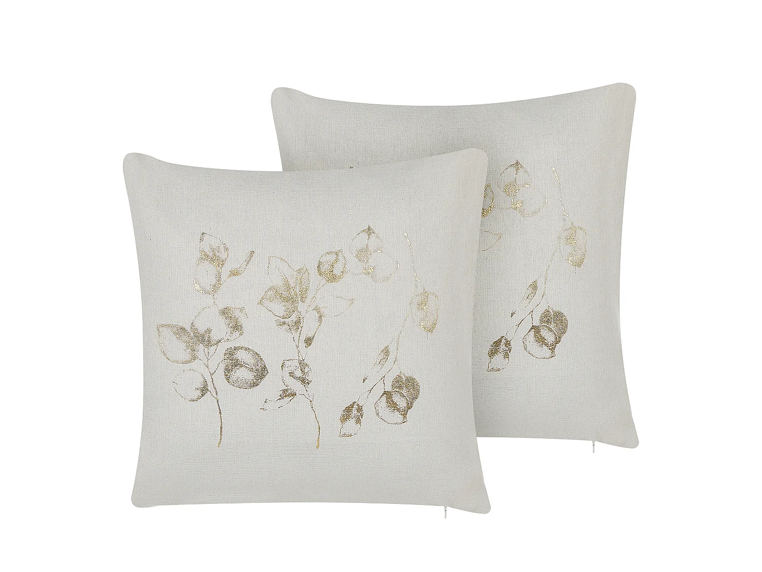 Conjunto de 2 almofadas decorativas GOMPHRENA 45 x 45 cm Creme claro Padrão de plantas