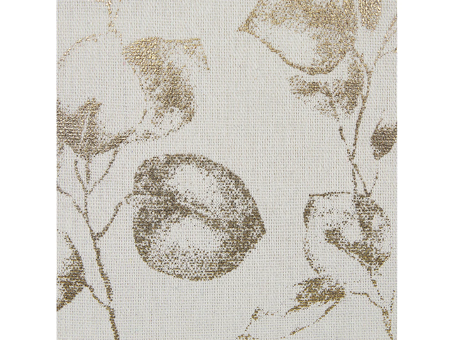 Conjunto de 2 almofadas decorativas GOMPHRENA 45 x 45 cm Creme claro Padrão de plantas