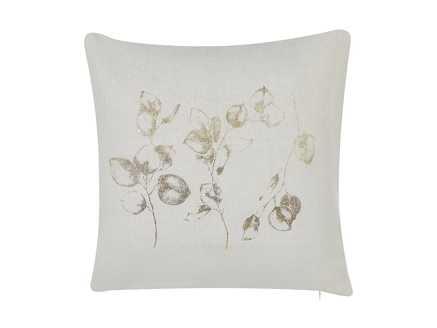 Conjunto de 2 almofadas decorativas GOMPHRENA 45 x 45 cm Creme claro Padrão de plantas
