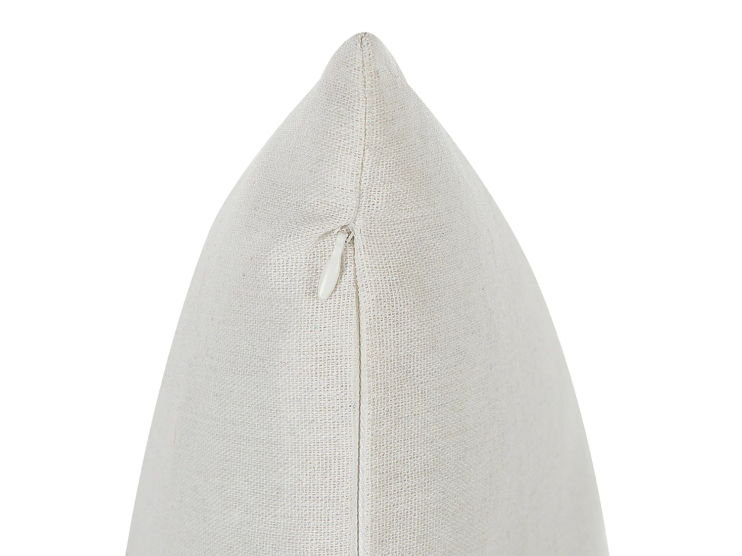 Conjunto de 2 almofadas decorativas GOMPHRENA 45 x 45 cm Creme claro Padrão de plantas