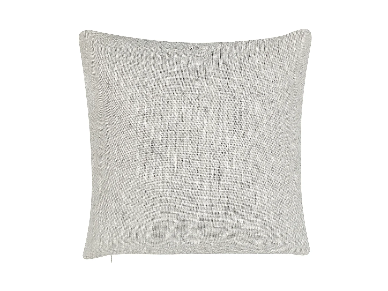 Conjunto de 2 almofadas decorativas GOMPHRENA 45 x 45 cm Creme claro Padrão de plantas