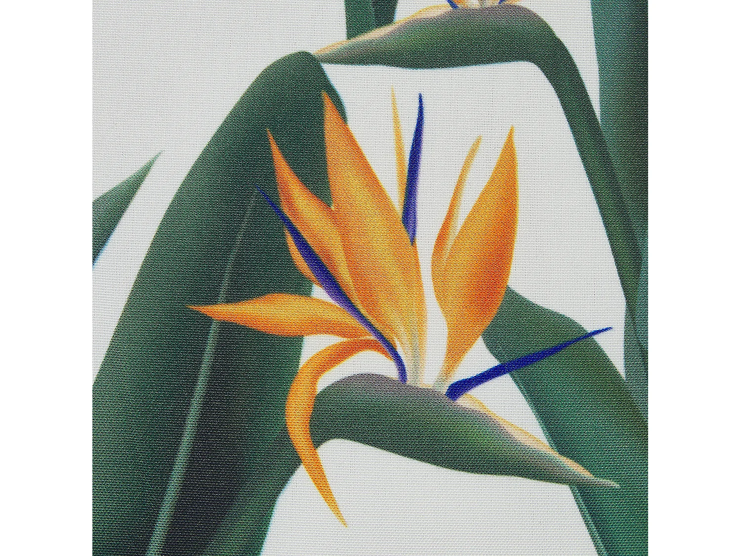 Conjunto de 2 almofadas de jardim TSOTYLI Padrão floral 45 x 45 cm Verde