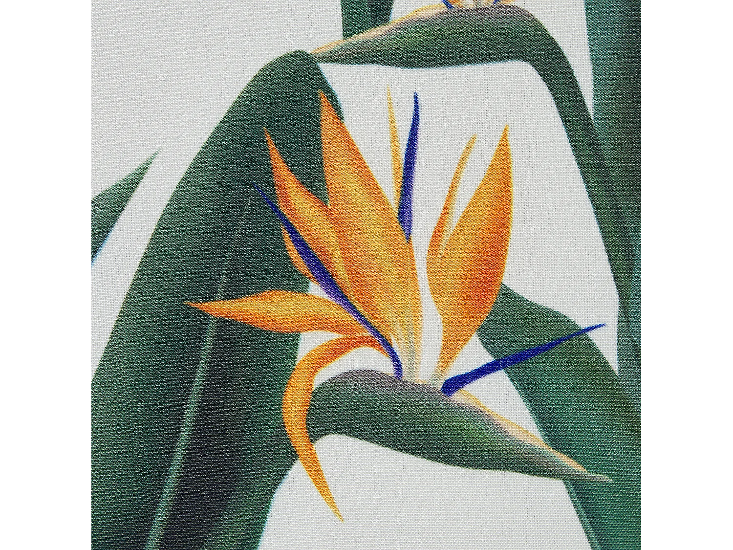 Lot de 2 coussins d'extérieur TSOTYLI Motif floral 45 x 45 cm Vert