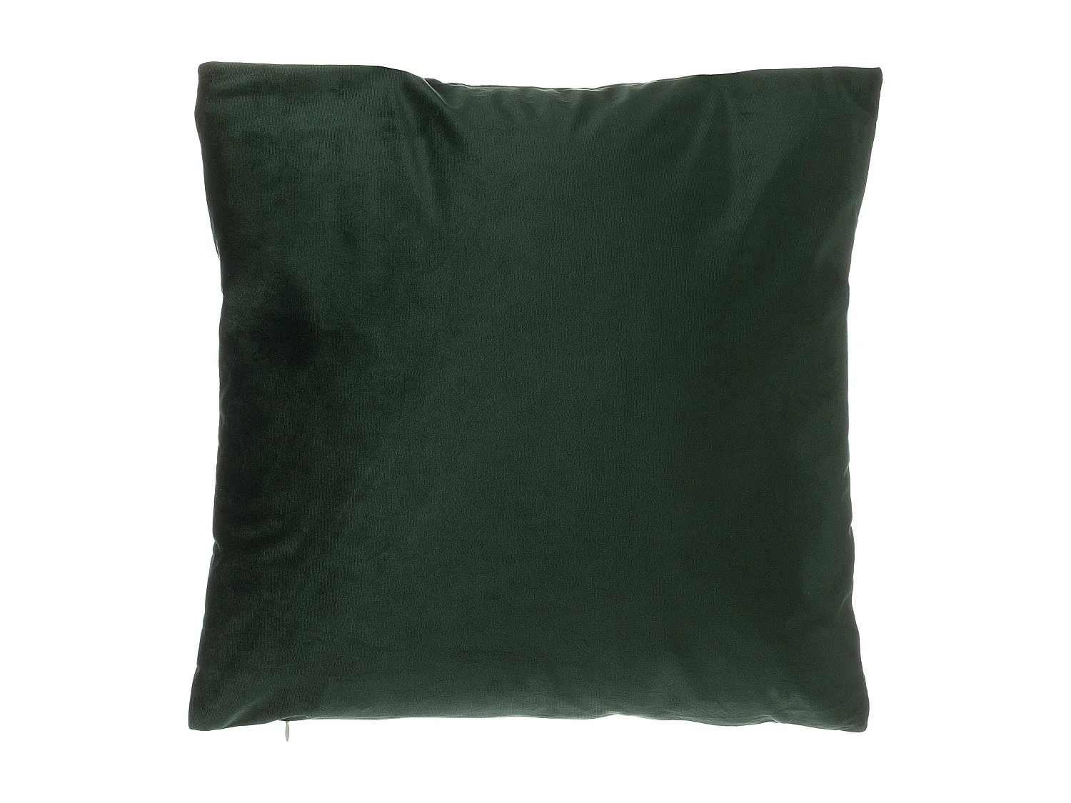 Lot de 2 coussins décoratifs FERN Velours 45 x 45 cm Vert foncé Motif de plante