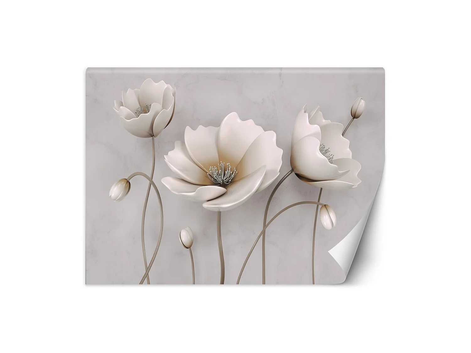 Papier peint fleurs abstraites - 350 x 245 cm