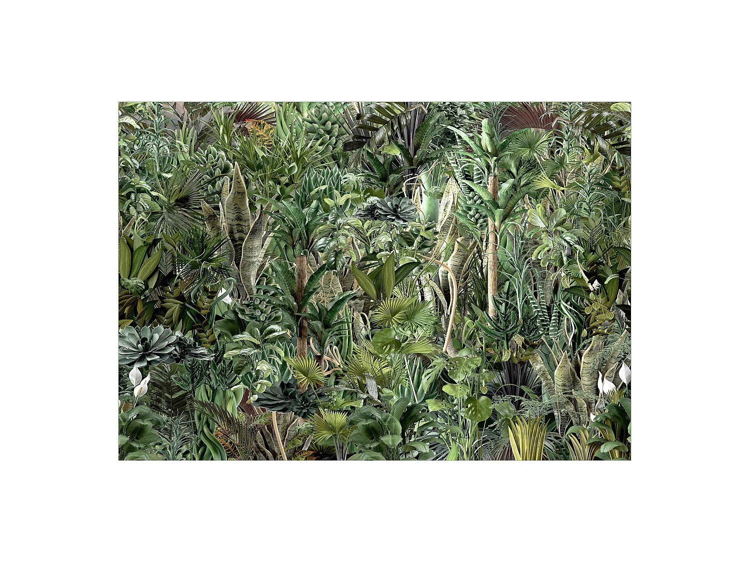 Papier peint Richness of Jungle - 400 x 280 cm