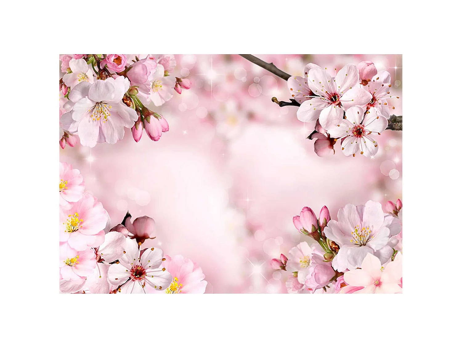 Papier peint adhésif Fleur de cerisier de printemps - 98 x 70 cm