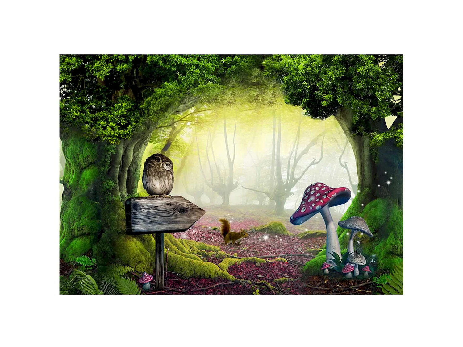 Papier peint adhésif Le coin des chouettes - 147 x 105 cm