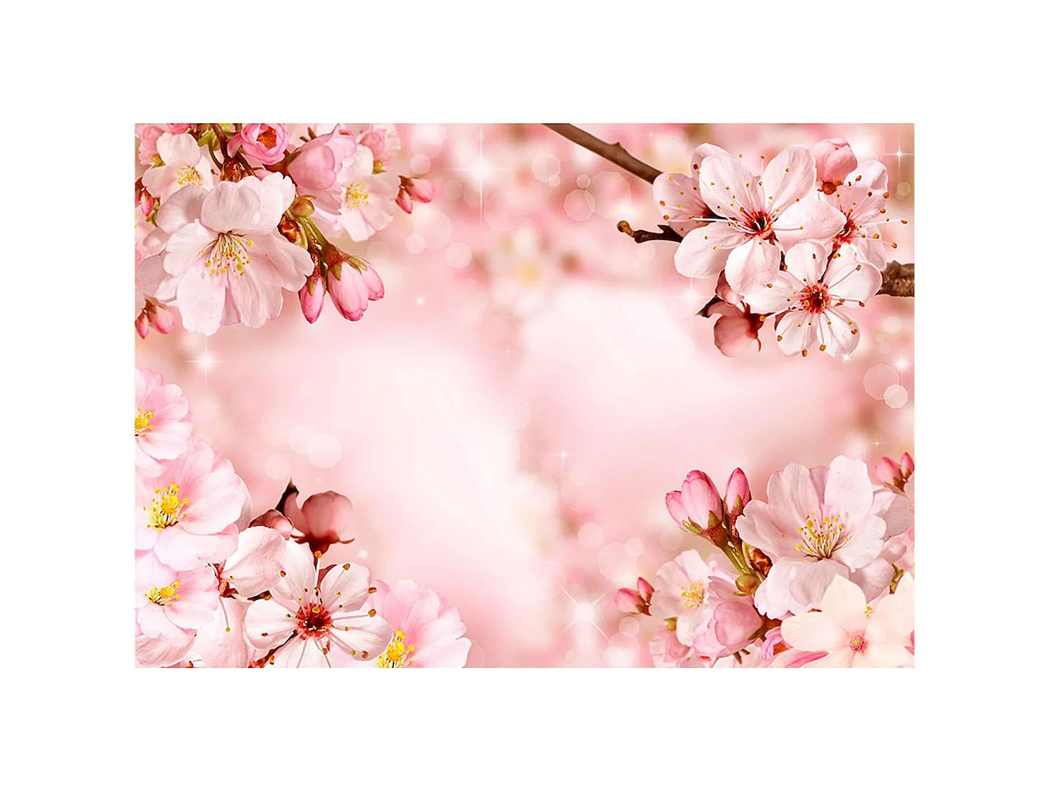 Papier peint adhésif Fleur de cerisier magique - 147 x 105 cm