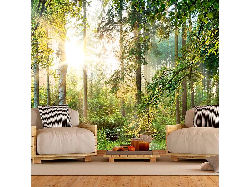 Papier peint adhésif Nature sauvage - 294 x 210 cm