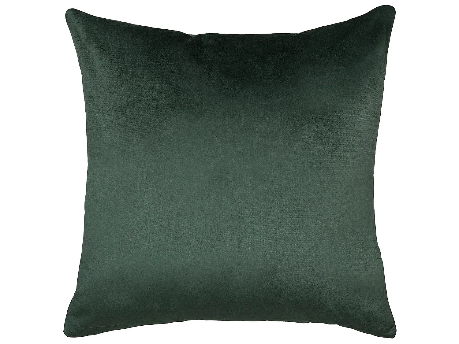 Set van 2 decoratieve kussens ASTILBE Fluweel 45 x 45 cm Donkergroen Bladpatroon