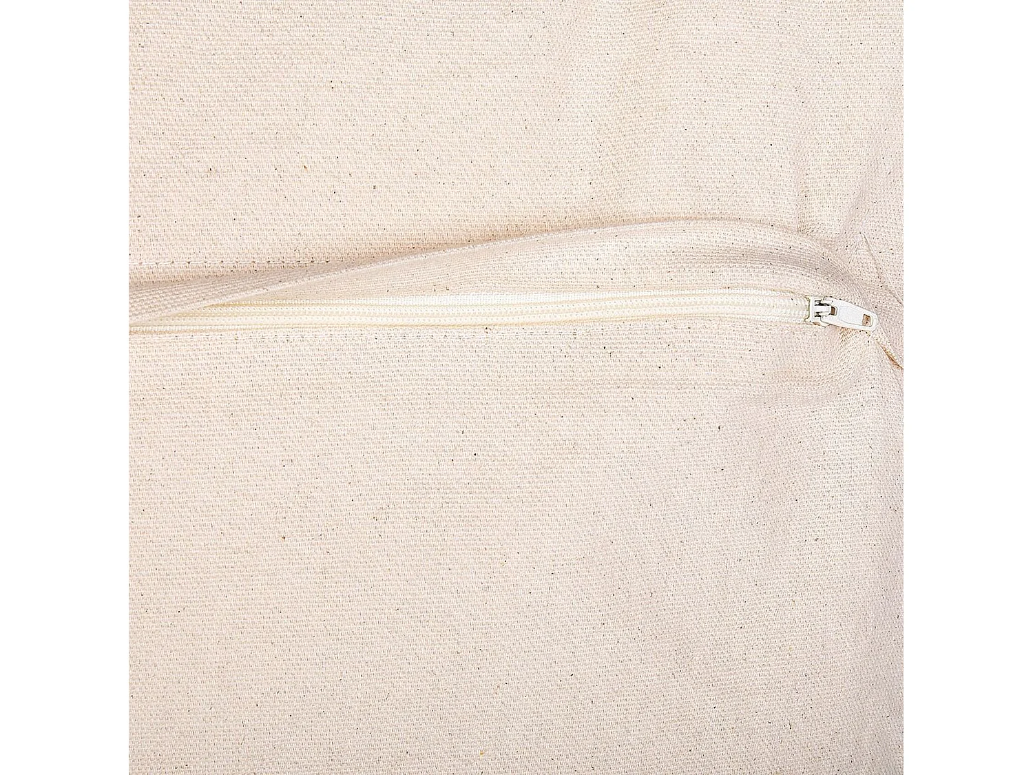 Lot de 2 coussins décoratifs BETULA Coton 30 x 50 cm Beige Motif géométrique