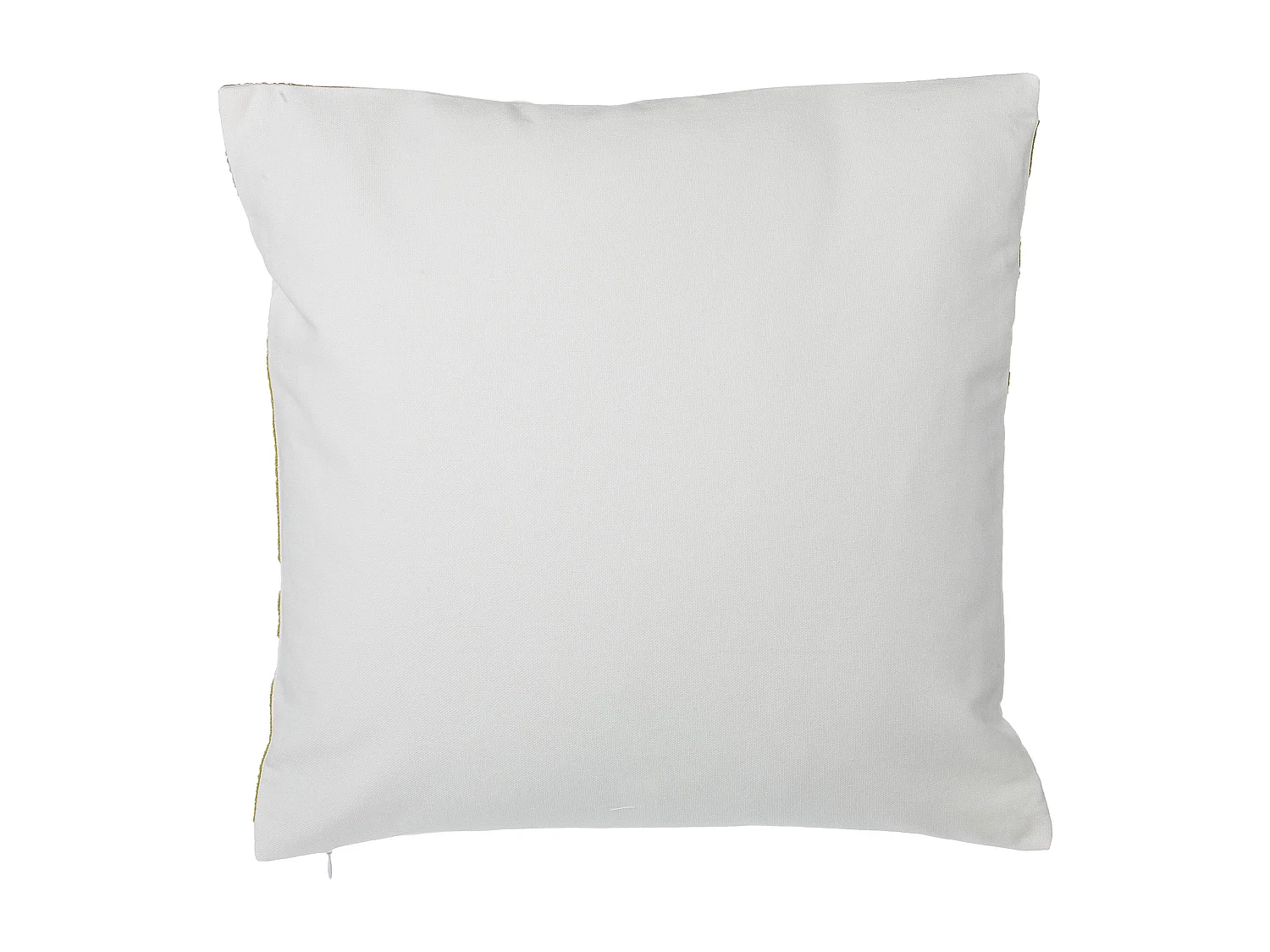 Lot de 2 coussins décoratifs ZENOBIA Coton 45 x 45 cm Vert foncé Motif de plante