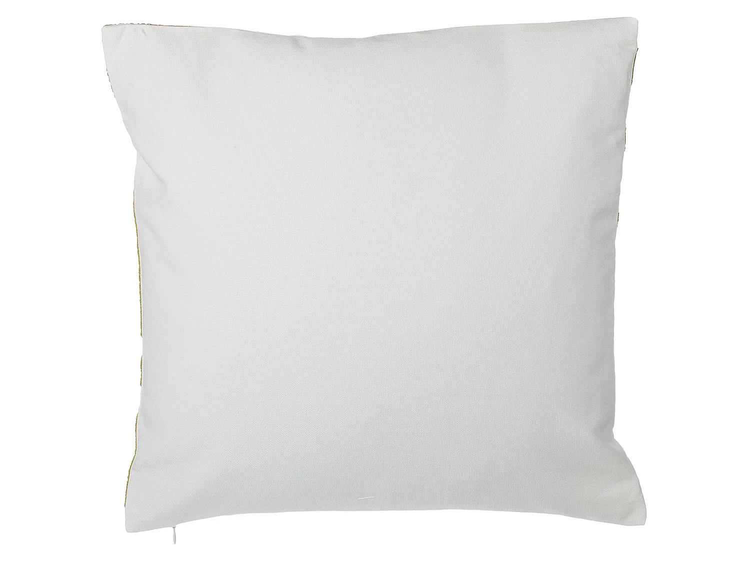 Lot de 2 coussins décoratifs ZENOBIA Coton 45 x 45 cm Vert foncé Motif de plante