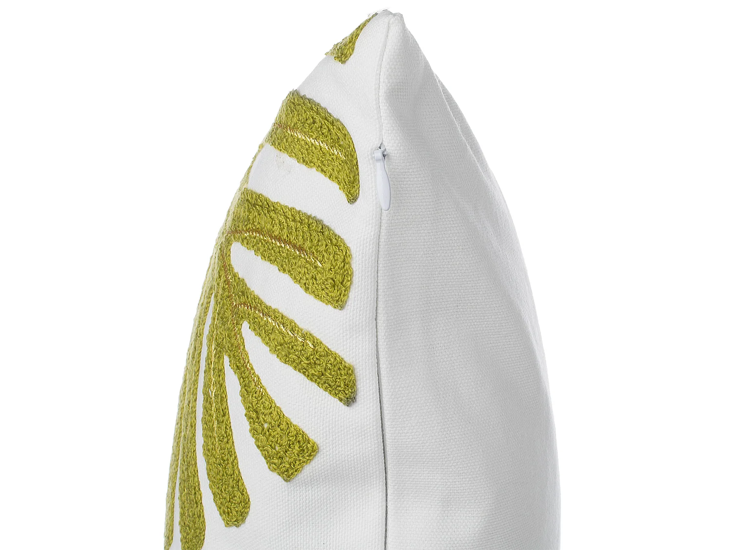 Lot de 2 coussins décoratifs ZENOBIA Coton 45 x 45 cm Vert foncé Motif de plante