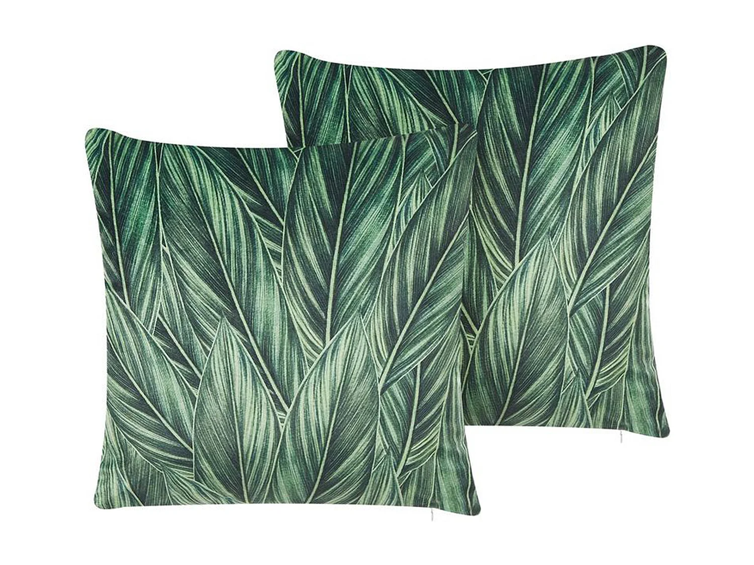 Conjunto de 2 almofadas decorativas DIASCIA Veludo 45 x 45 cm Verde Padrão de plantas
