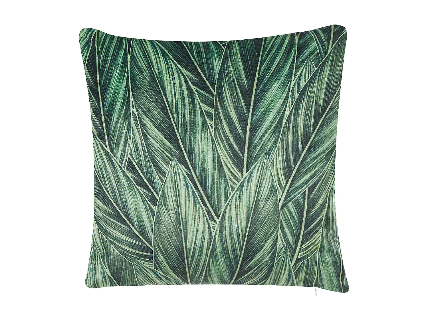 Conjunto de 2 almofadas decorativas DIASCIA Veludo 45 x 45 cm Verde Padrão de plantas