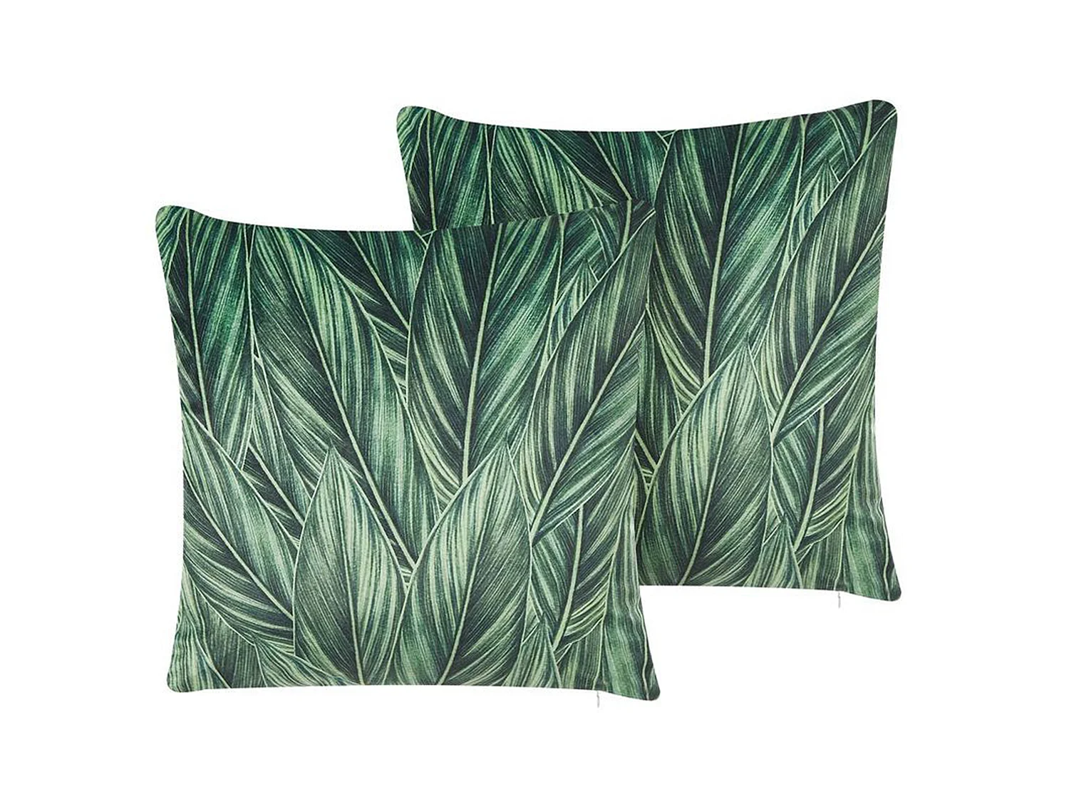 Set di 2 cuscini DIASCIA Velluto 45 x 45 cm Verde Trama di piante