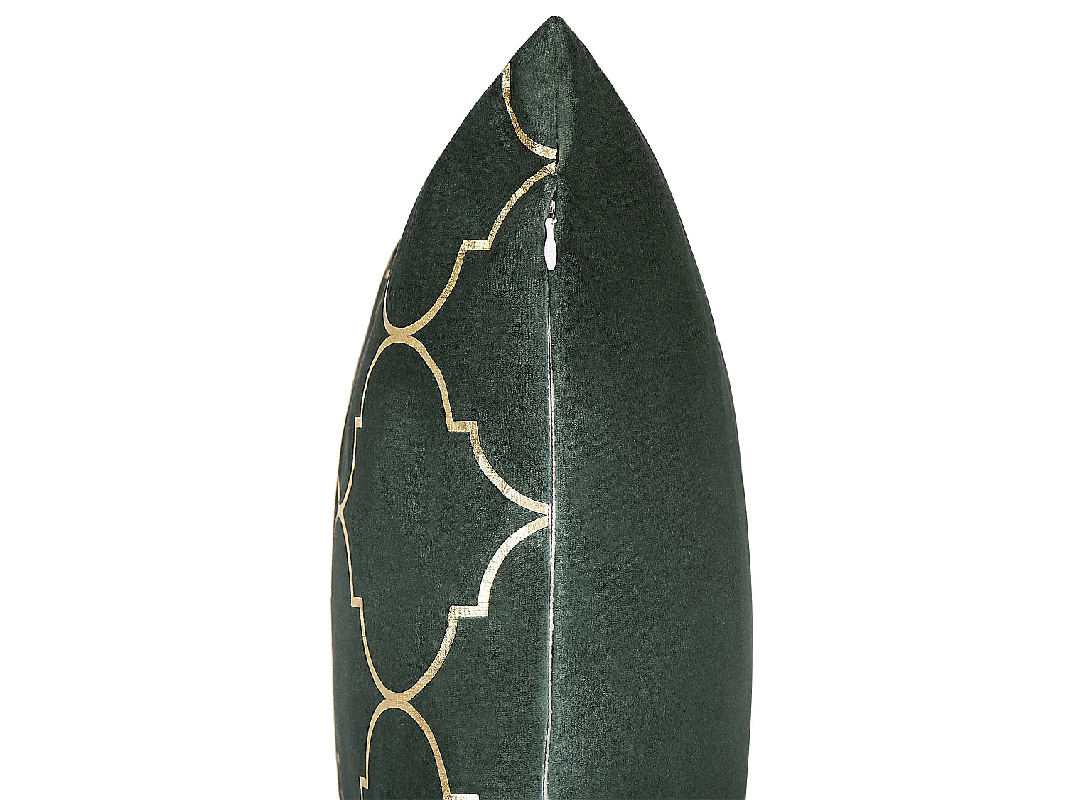 Lot de 2 coussins décoratifs ALYSSUM Velours 45 x 45 cm Vert foncé Motif de treillis