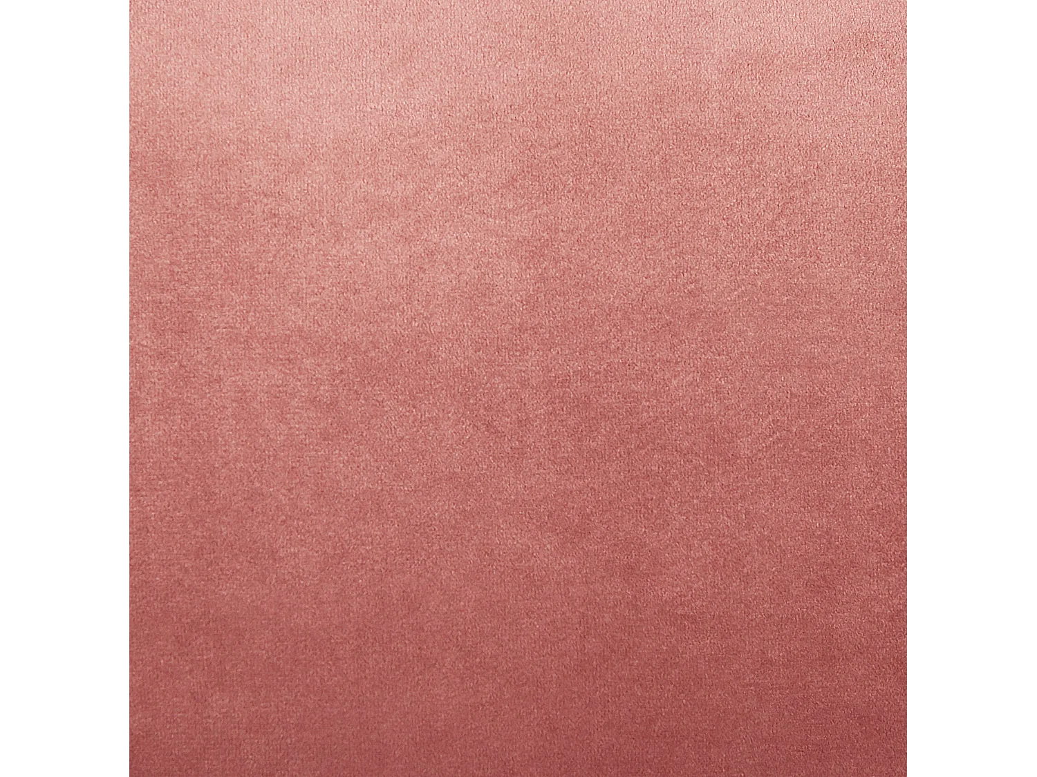 Set van 2 decoratieve kussens KALANCHOE Fluweel 30 x 50 cm Roze Effen