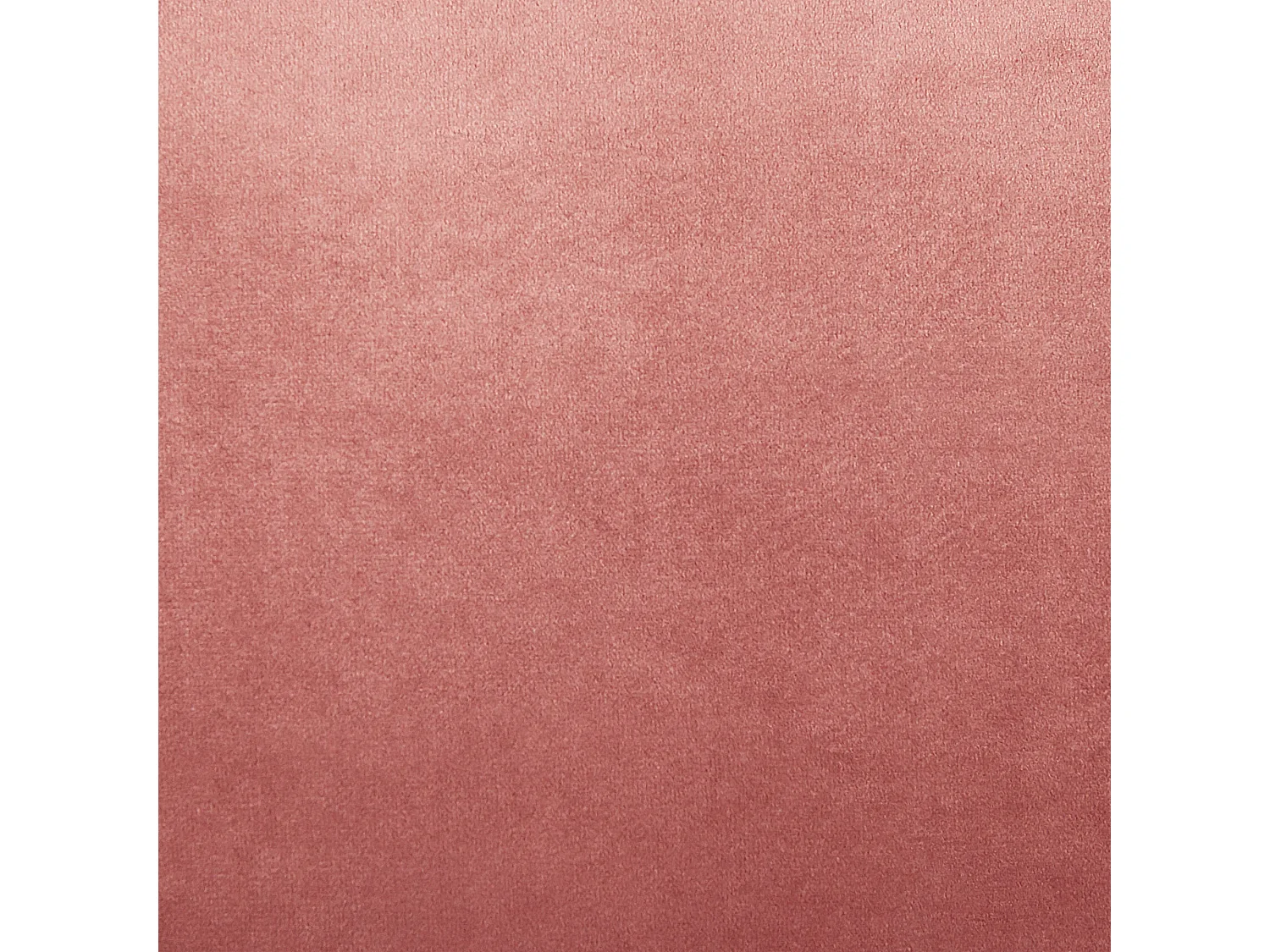 Set van 2 decoratieve kussens KALANCHOE Fluweel 30 x 50 cm Roze Effen