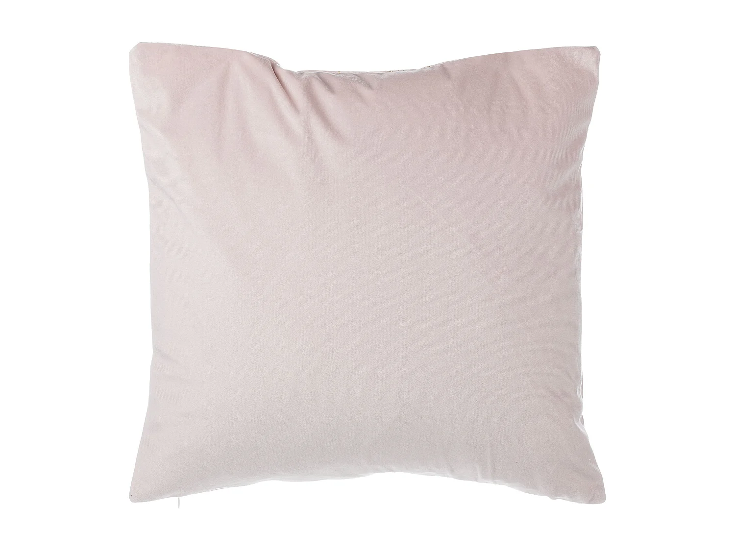 Conjunto de 2 almofadas decorativas FREESIA Veludo 45 x 45 cm Rosa Padrão de plantas