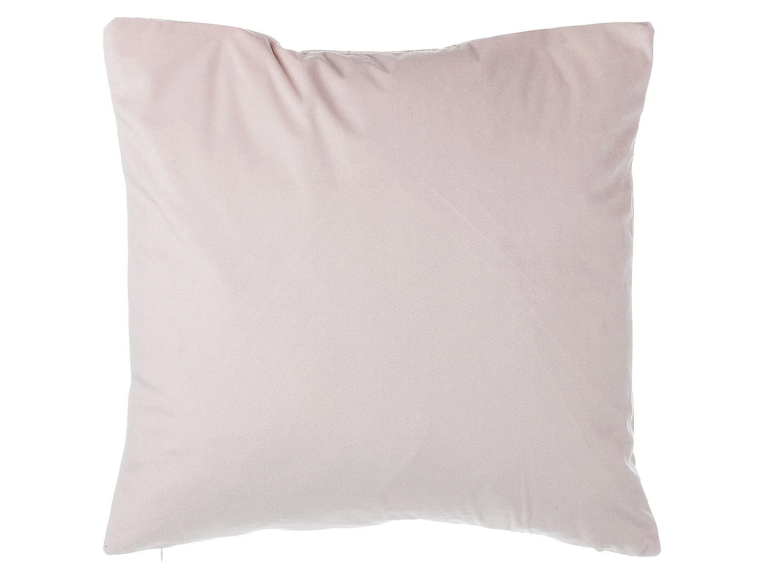 Set di 2 cuscini FREESIA Velluto 45 x 45 cm Rosa Trama di piante