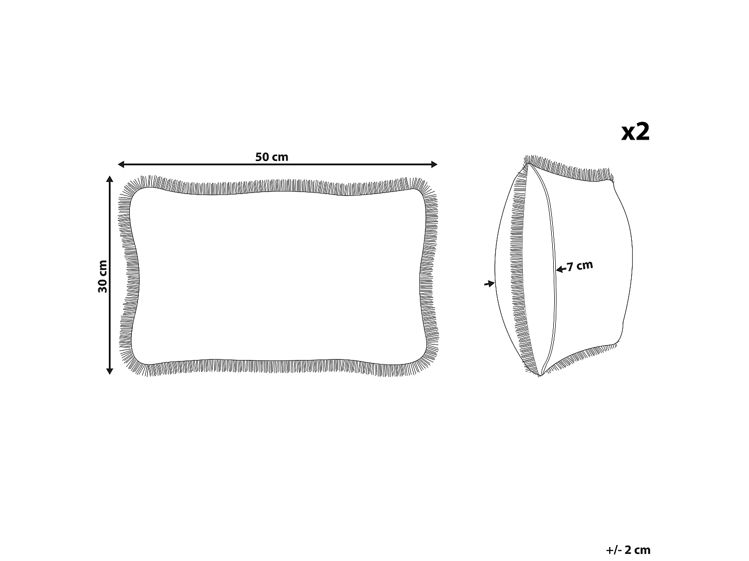 Lot de 2 coussins décoratifs POTHOS Velours 30 x 50 cm Beige Unicolore