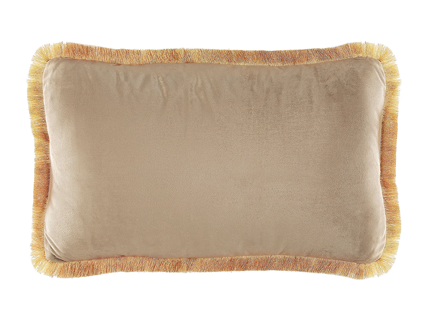 Lot de 2 coussins décoratifs POTHOS Velours 30 x 50 cm Beige Unicolore