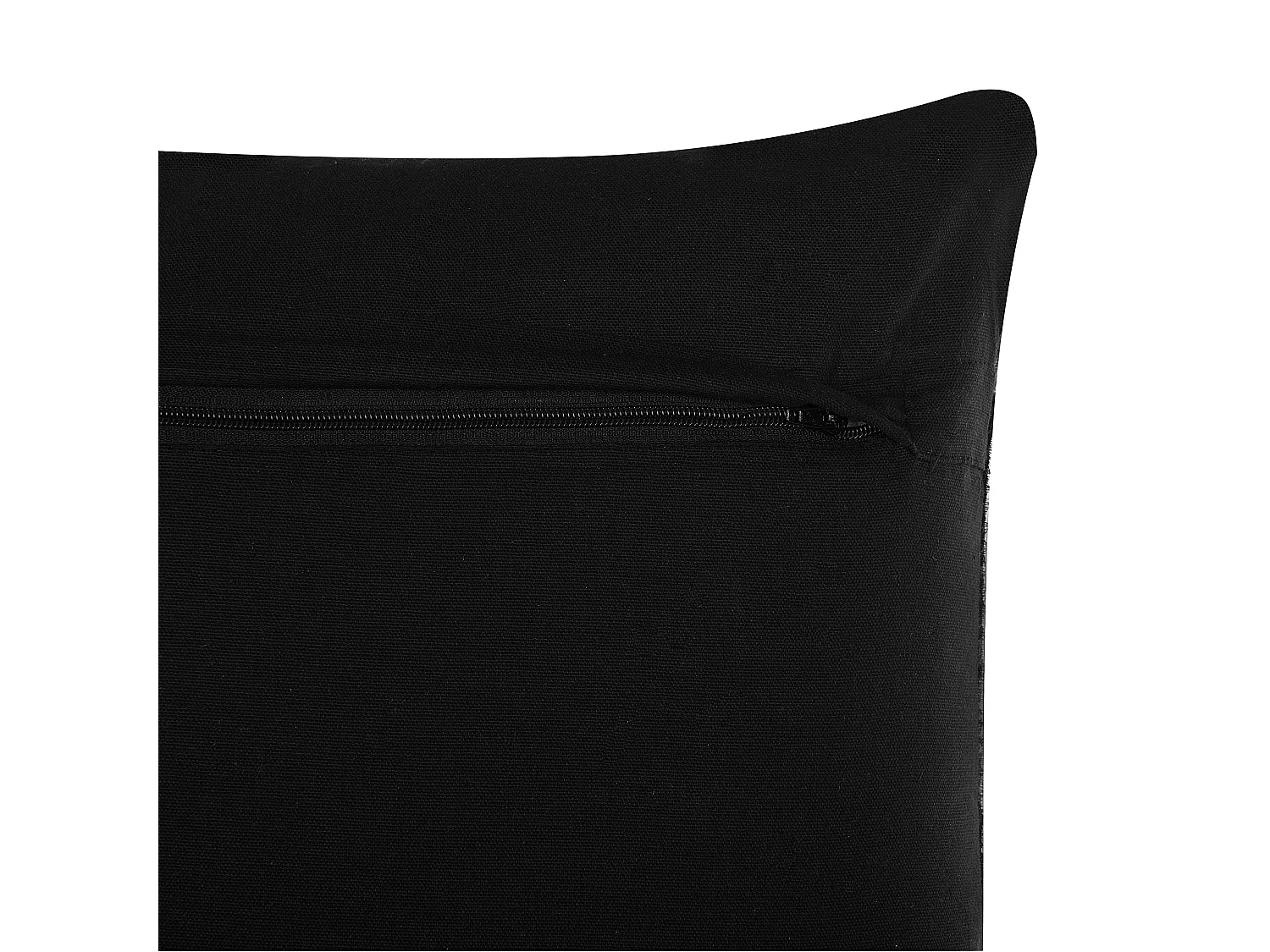 Lot de 2 coussins décoratifs KARUR Coton 45 x 45 cm Marron Motif floral